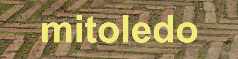 Logotipo de Mitoledo.com